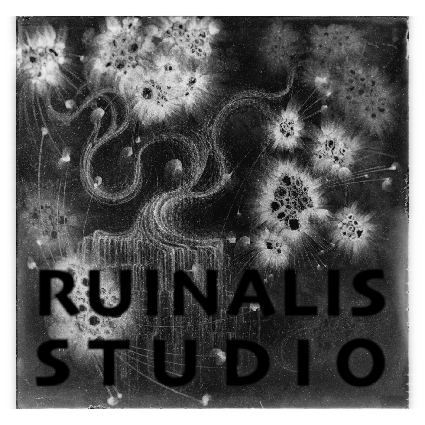 Ruinalis Studio Logo